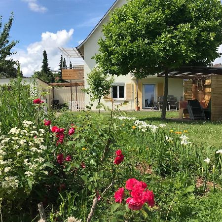 Bergblick Am See Villa Friedrichshafen Eksteriør billede