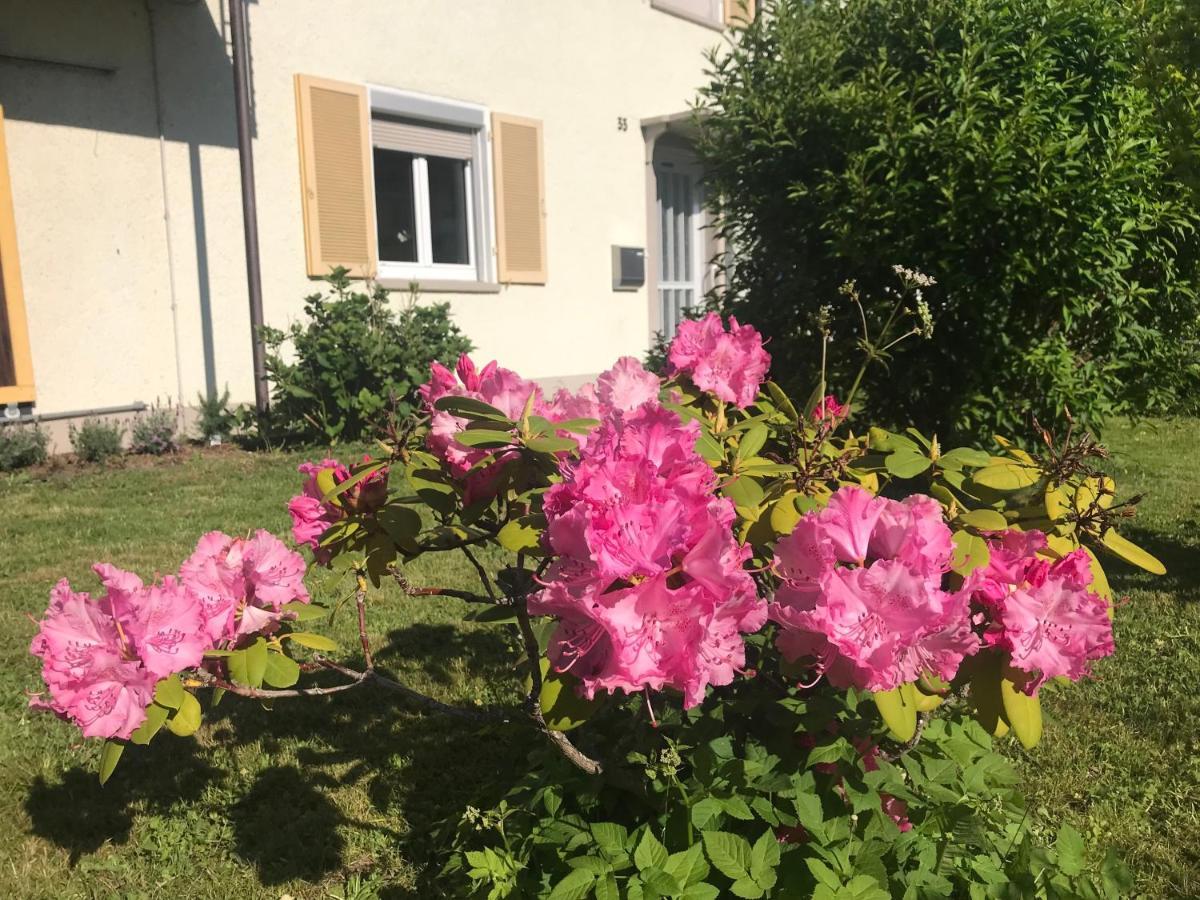 Bergblick Am See Villa Friedrichshafen Eksteriør billede